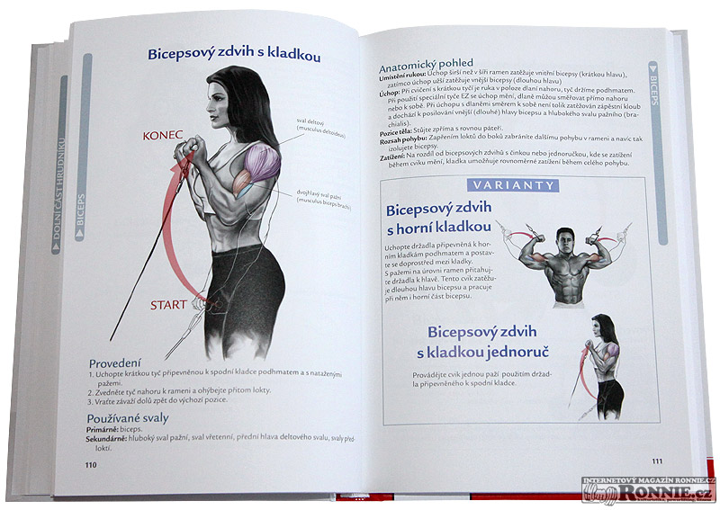 Bodybuilding anatomie nick evans pdf